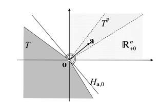 Abb. 1a  Ein abgeschlossener konvexer linearer Kegel, der disjunkt ist zum punktierten nichtnegativen Orthanten